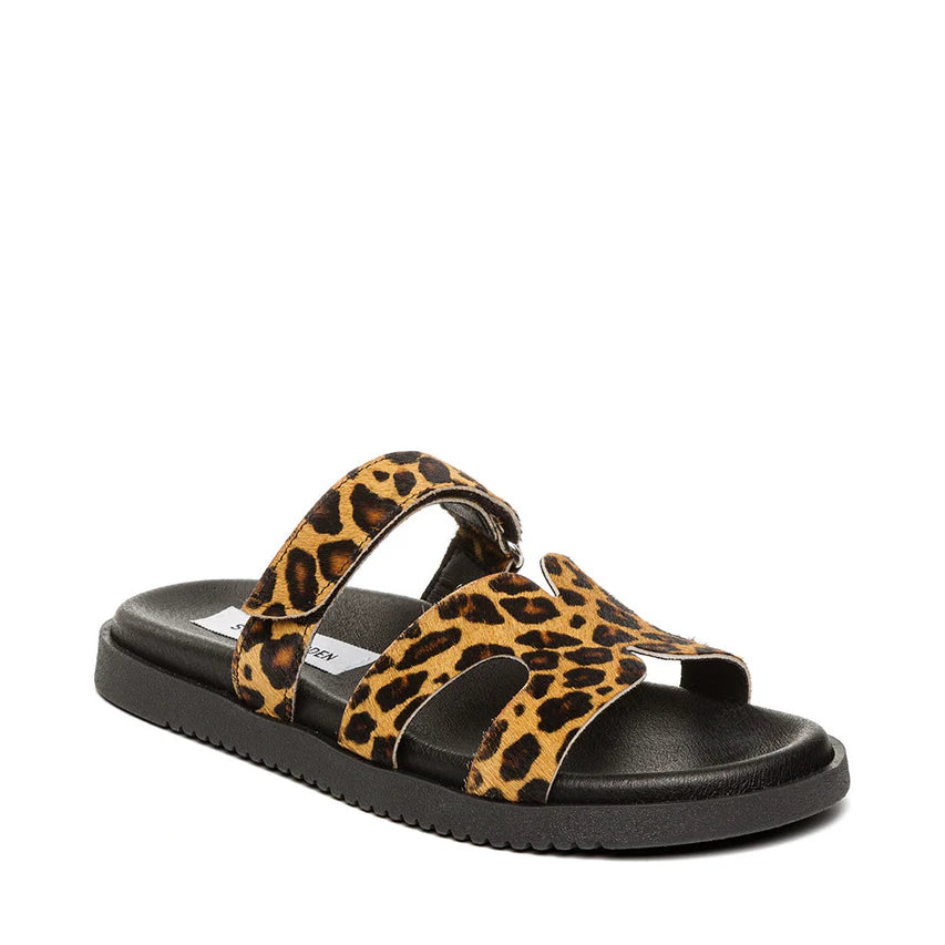STEVE MADDEN SMSMISSILEL-969-LEOPARD