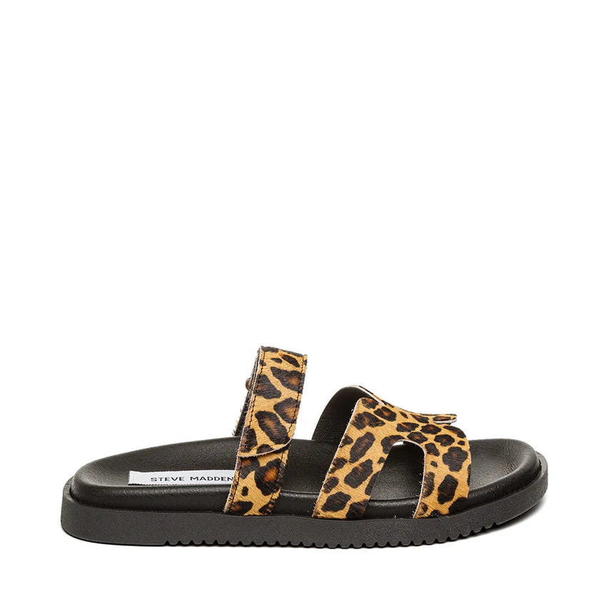 STEVE MADDEN SMSMISSILEL-969-LEOPARD
