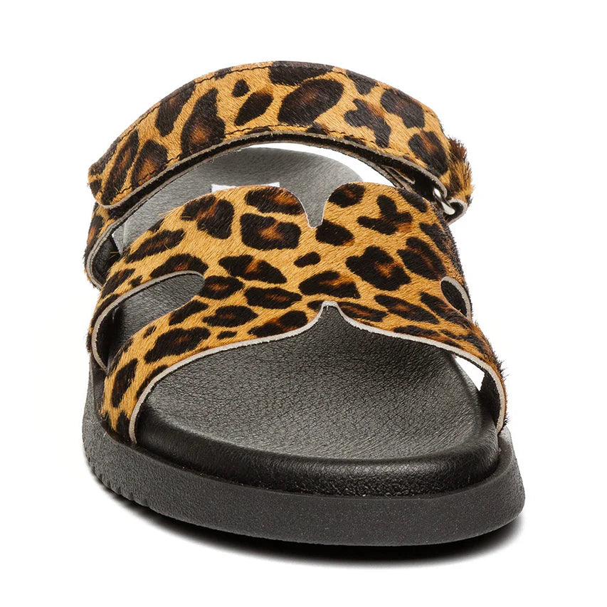 STEVE MADDEN SMSMISSILEL-969-LEOPARD